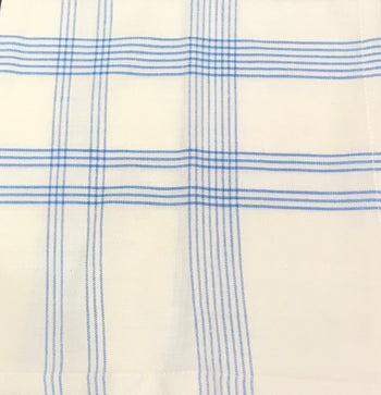 Design Imports Summer Day Blue Plaid Cloth Napkin